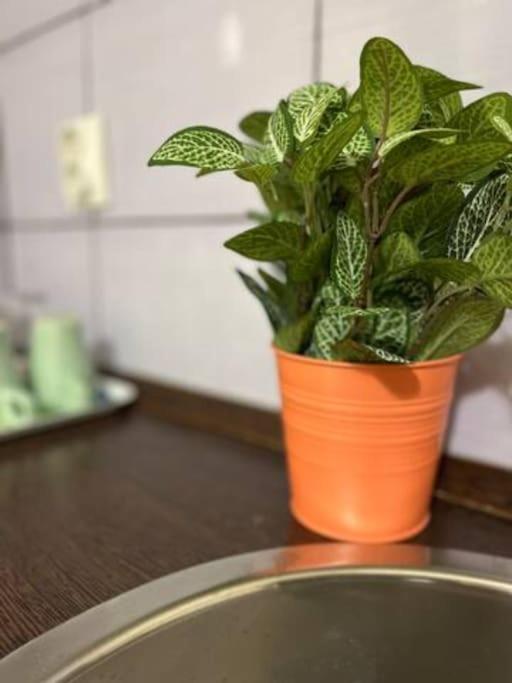 Apartamento A4 Parliament Sunflower Cozy Budapest